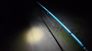 ТАКИХ Я ЕЩЕ НЕ ЛОВИЛ! ЭКСПЕРИМЕНТЫ НА МОНСТРОВ! Подводные съемки на Волге. Рыбалка.