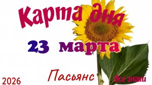 Карта дня🎁23 марта🌞💐Пасьянс. Тайм-код в описании 🦢