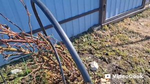 Наши 8,4 сотки 🏡Первые потери в саду😢🫣Буду✂️ под корень.У нас сегодня  ретроградный меркурий.