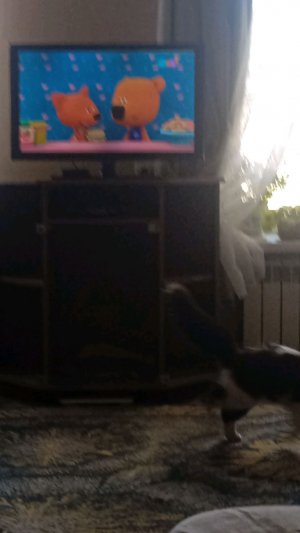 Кан сын принял участие в