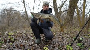 ЭТА ЩУКА БОЛЬШЕ ЧЕМ Я ДУМАЛ! Рыбалка на спиннинг в сказочно красивом месте