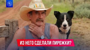 Этот старик исчез в городе с населением всего 11 человек