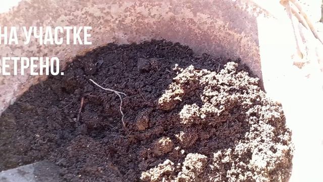 УЧАСТОК В  СЕРЕДИНЕ МАРТА.