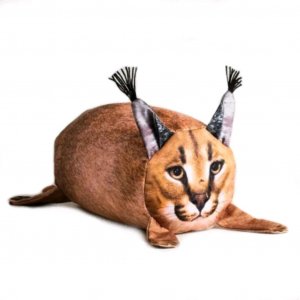 включил видео не сказав другу