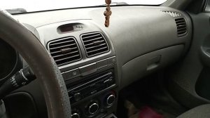 Домашние грызуны