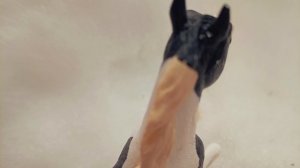 Фотки Серенады