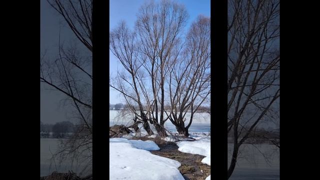 Утренняя солнечная прогулка на реке ( 21 марта)