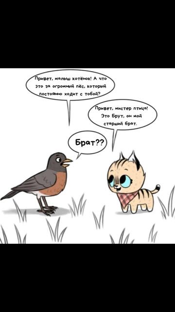 Собака-волшебник. Пикси и Брут