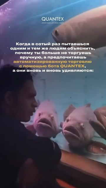📈Лучше один раз попробовать ботов QUANTEX