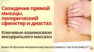 Схождение прямой мышцы, пилорический сфинктер и диастаз: Ключевые взаимосвязи висцерального массажа