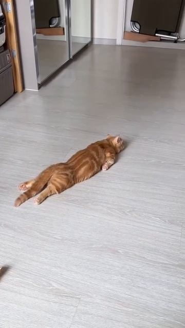 Начинаем выходные.