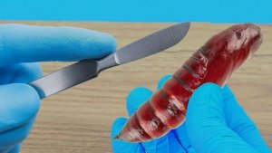 Я разрезал куколку бражника и узнал почему она не родилась