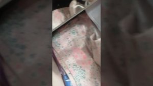 1 влог с лаки🍒🐕