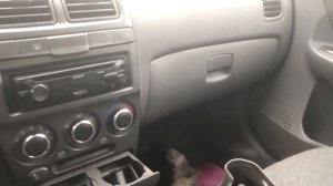 Прикол машина