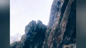 ДЕНЬ ПОЭЗИИ. #ПУШКИН #ЛЕРМОНТОВ #ГЕТЕ #ЕСЕНИН #ШЕКСПИР #МАРШАК #БЕРЕСТОВ #Веселые_рифмы #21марта