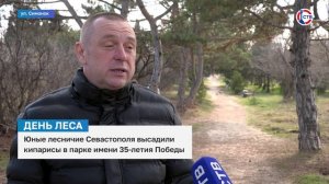 Юные лесничие Севастополя высадили кипарисы в парке имени 35-летия Победы