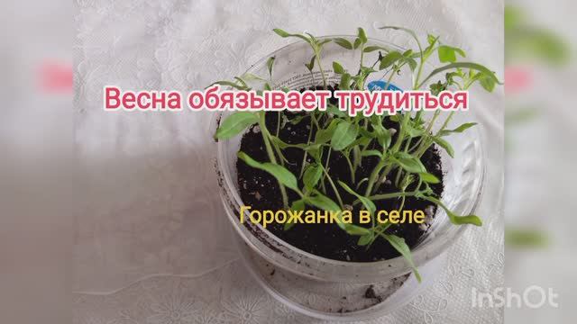 Весна обязывает трудиться