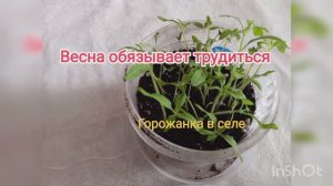 Весна обязывает трудиться