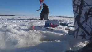 ПО БЕЛОМУ МОРЮ 40-КМ ЗА КОРЮШКОЙ НА ОСТРОВ КОНЁВ!