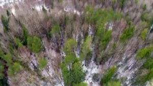 ВИА Песняры - Беловежская пуща. Соло В.Дайнеко (1978).720p.[60fps]