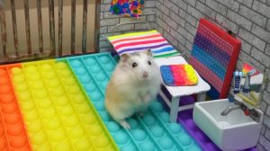 🐹Хомяк сбегает из лабиринта с препятствиями!🐹