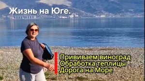 21-03. Прививаем виноград.Обрабатываю теплицу.Мысли вслух. Дорога на море.НАТУХАЕВСКАЯ