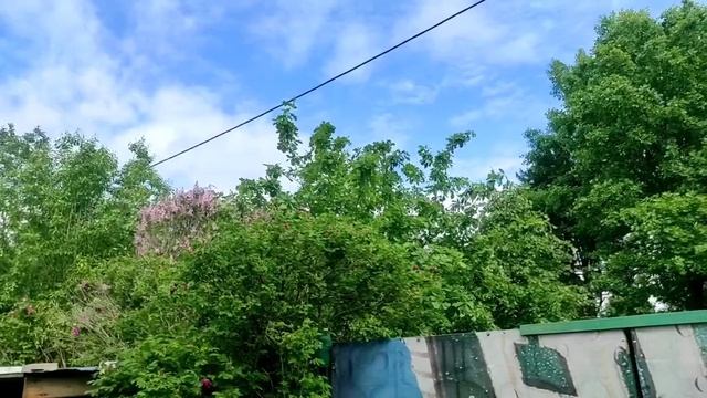 52-Дача..Пеностекло как дизайнерское решение🤣🤣🤣украсила клумбы! 👍25.06.22.