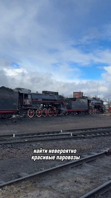 А еще, говорят, мне попался какой-то редкий экземпляр