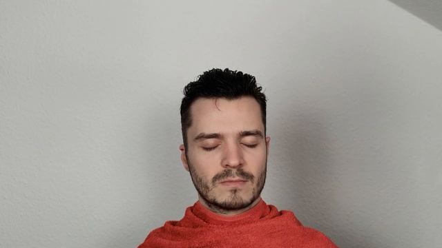 Experimental Hairstyles ASMR Different Combs & Spray Bottle Sounds