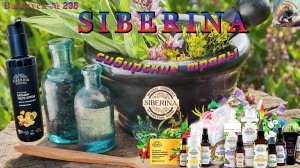Выпуск № 236. SIBERINA. Сибирские травы. Крем для бритья «VITEX MEN TOBACCO». Бальзам SIBERINA.
