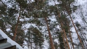 Актуально из архива