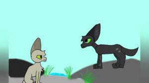 на конкурс WildBonos