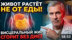 ЖИВОТ УЙДЕТ БЕЗ ДИЕТ! Висцеральный жир сгорит во сне после 55 лет _ СОВЕТ ДОКТОР