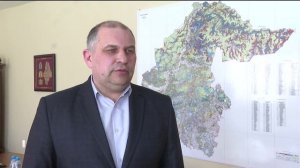 Более 16 млн сеянцев хвойных пород деревьев планируют вырастить в Тюменской области в 2026 году