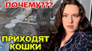 МОЯ ДУША Стала ВАЖНЕЕ ВСЕГО