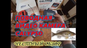 CALYPSO ВИДЕОКАМЕРА ПОДВОДНАЯ.ЛИЧНОЕ МНЕНИЕ.