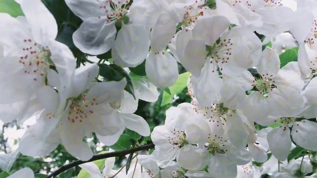 Музыка 392 Гц. Мызыка счастья и Юпитера