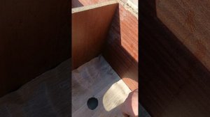 гнёздышко для курочек