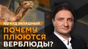 Эдгард Запашный и Нина Ватт. Ботоксные животные и неуживчивые крокодилы