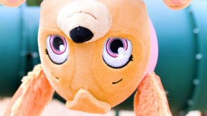 🐾📚 ЩЕНЯЧИЙ ПАТРУЛЬ — Обучающее видео для детей: Щенки-малыши без травли в школе!