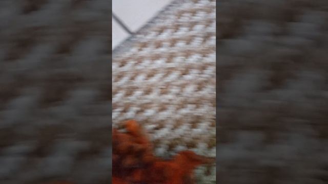 boisvert friken смотреть онлайн