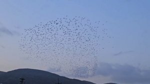 89.Новый этап жизни