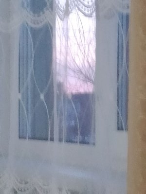 ✅💓💵💜❤️🩷💗