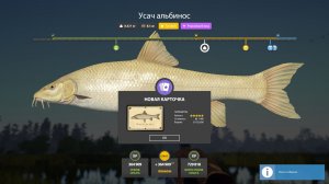 НОВЫЕ РАЗДАЧИ ТАЙМЕНЯ УСАЧА НА МЕДВЕЖКЕ ТОП ФАРМЫ НА МЕДНОМ МОРЕ ОБЗОР ВОДОЕМОВ В РУССКОЙ РЫБАЛКЕ 4