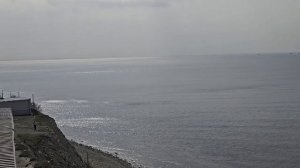 #214.Анапа.Погодка порадовала.Прогулялась,белка Магнолия зацветает, Высокий берег с лебедями.