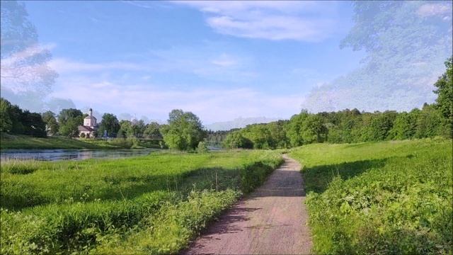 Васильевское. Пейзажи Москвы-реки. Подвесной мост. Июнь 2023 года.