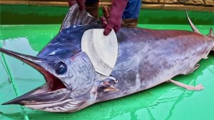 Мастерское мастерство разделки 300-килограммового гигантского марлина для сашими премиум-класса