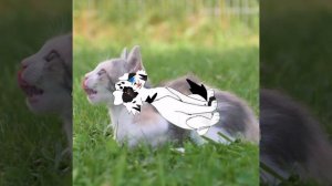 Просто анимка   ×/MoonStar\×