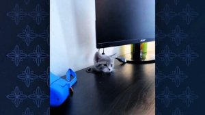 Позитивчик