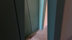 Лифты Щлз 2005